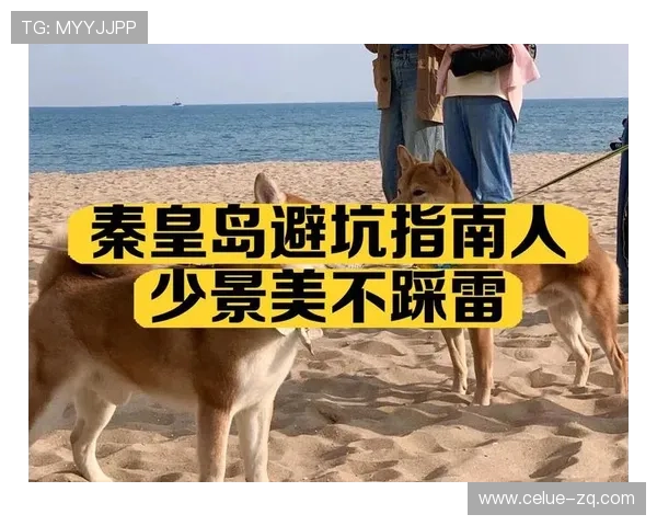 大型赛事预热买球站避坑指南防骗必看 大型赛事预热买球站避坑指南防骗必看
